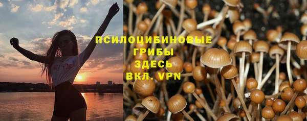 соль ск Белокуриха