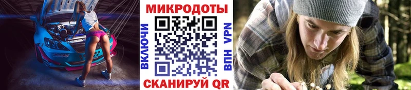 Псилоцибиновые грибы Psilocybe Волосово